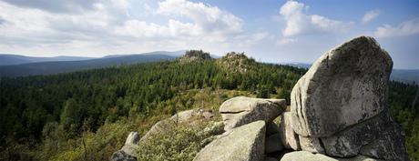 Harz