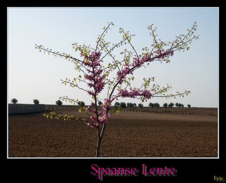 De lente in Spanje