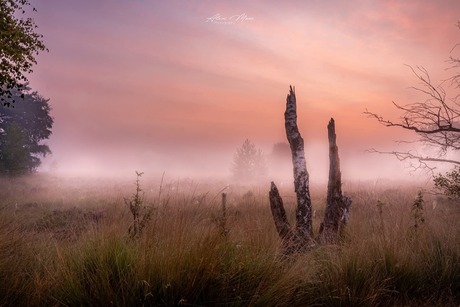 Zonsopgang 