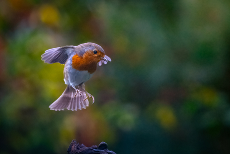 Tussen hemel en aarde