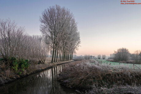 Winter landscape around Damme 2-4984