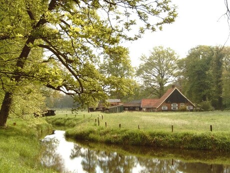 In twickel landelijk uitzicht!