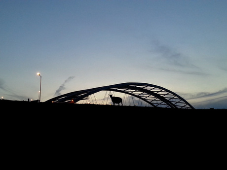 Brug over de schaap