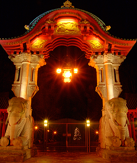 Berliner Zoo HDR