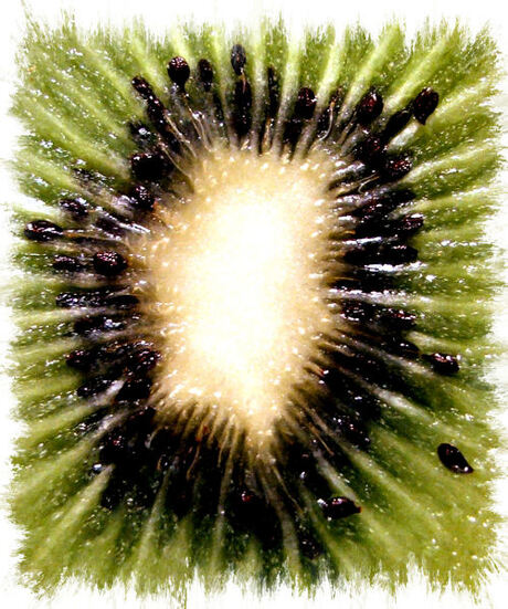 Kiwi