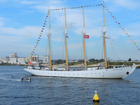 sail Amsterdam