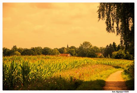 Een zonovergoten dag......