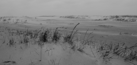 Wind, zand & duinen