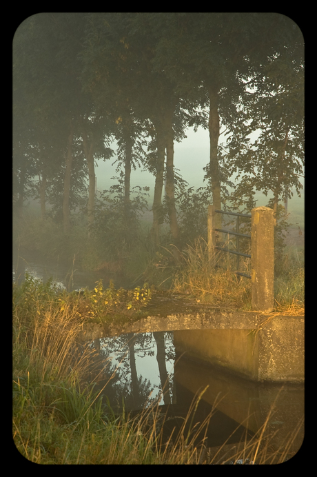 Bruggetje in de mist