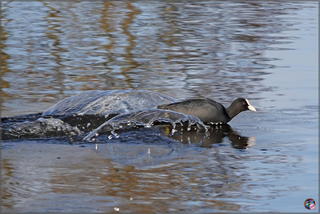 Op zij, op zij, op zij …