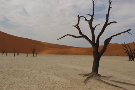 Deadvlei Namibie