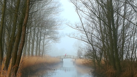 Koude ochtend 