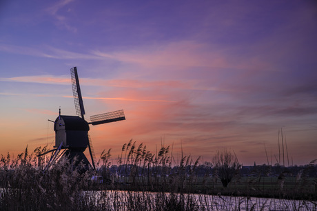 Wipmolen in de polder 