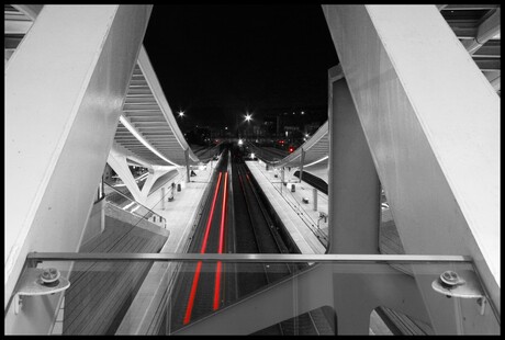 Station Guillemins Luik