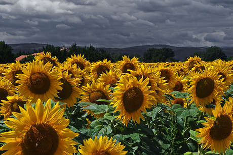 De zon en de wolken