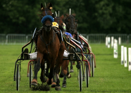 paardenrace Meent '09