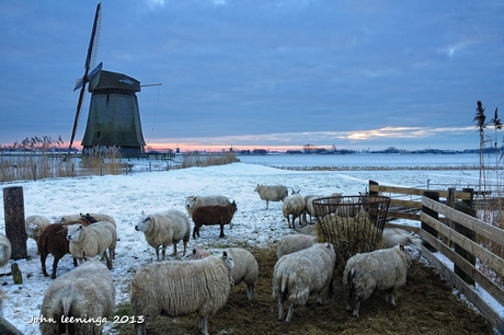 Gezellig bijeen.