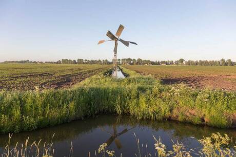 Landschap Hoeksewaard 2