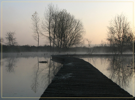 Midden in de natuur