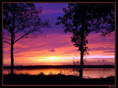 Pink and orange beauty