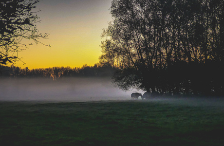 Zonsondergang met mist 