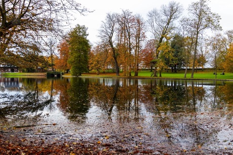 Autumn reflections 