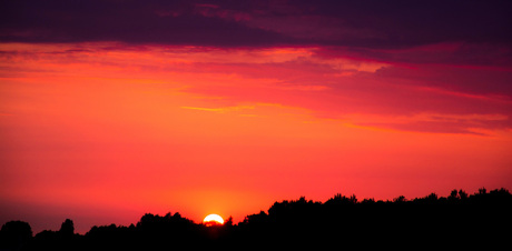 Roze zonsondergang