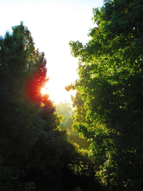 Zonsopgang, uitzicht vanuit mijn kamer