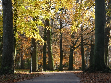 Herfst op het landgoed