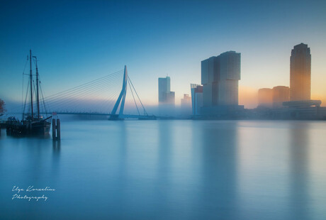 Fog in Rotterdam