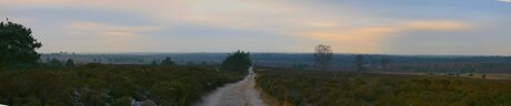 Holterberg - Panoramafoto