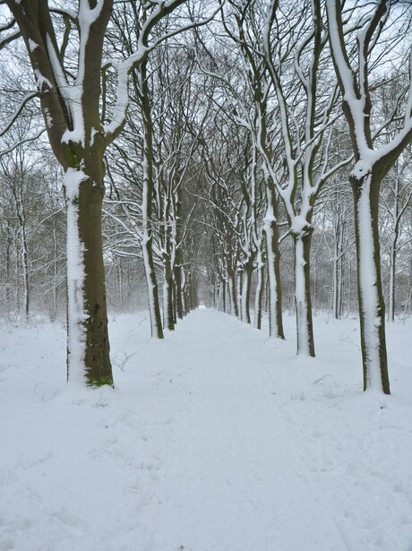 winter in noord nederland