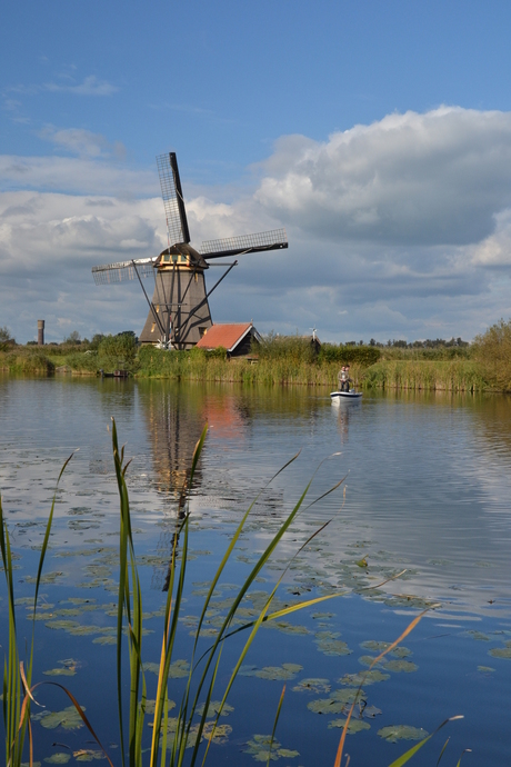 Molen kinderdijk