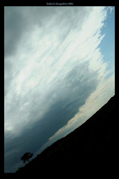 Dark tree sky