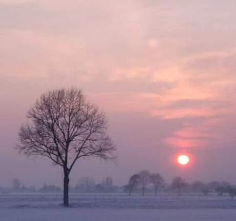 landschap zutphen