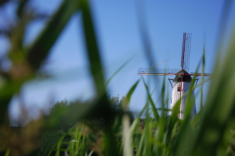 De Scheve Molen