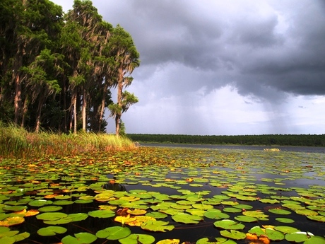 Lake Louisa State Park