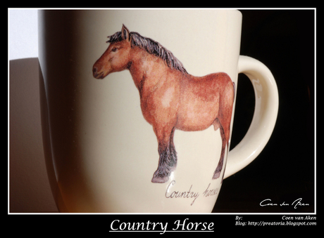 Country Horse