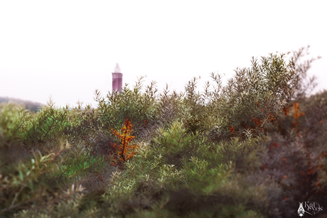 The Dunes