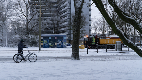 Winter in delft 2026