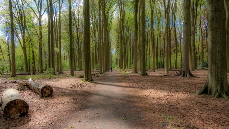 Park te Schilde Belgie