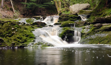 Mooi stukje natuur in België.
