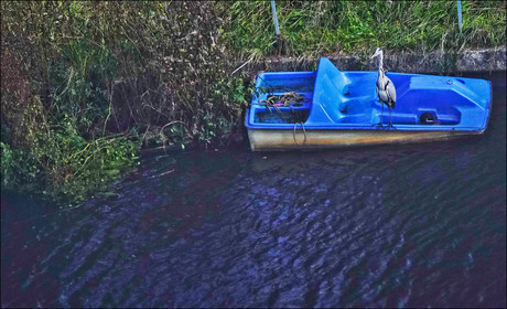 ík wacht al uren...................................