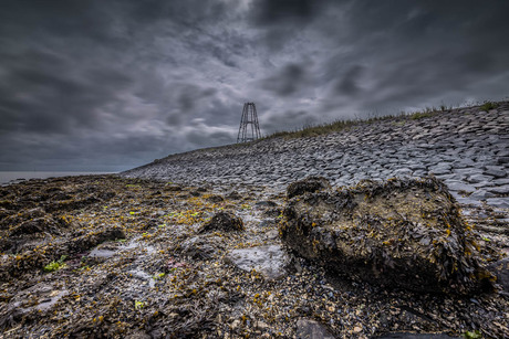 Donker Texel