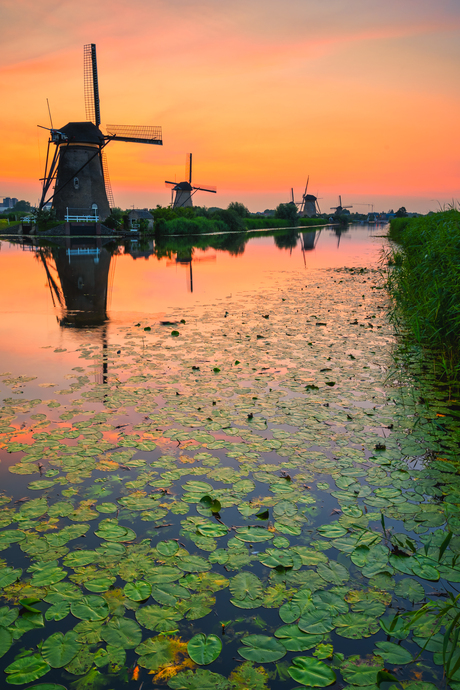 Kinderdijk