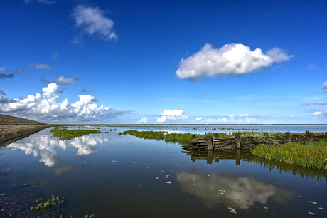 Het Wad