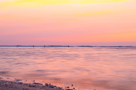 Roze strand