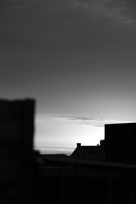 zicht vanuit de tuin