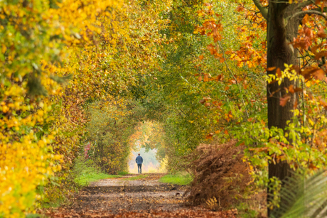 Landschap met 1 persoon