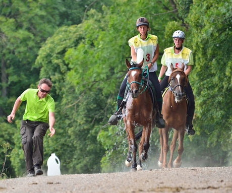 Focus bij ruiter en groom